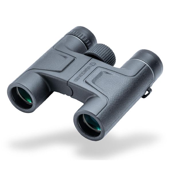 Бінокль Vanguard Vesta 10x25 WP